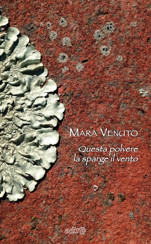Questa polvere la sparge il vento book
