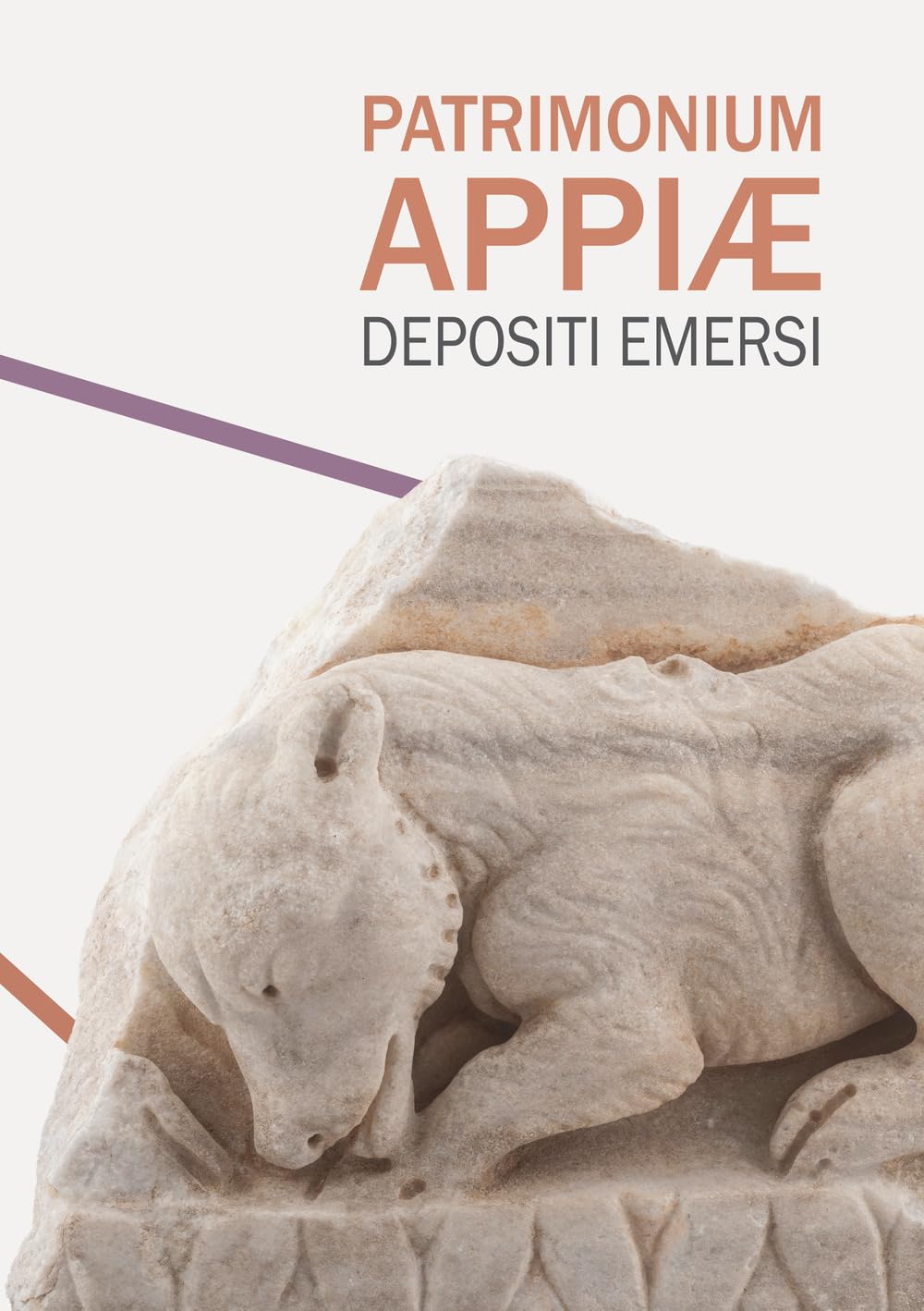 Patrimonium Appiae. Depositi emersi book