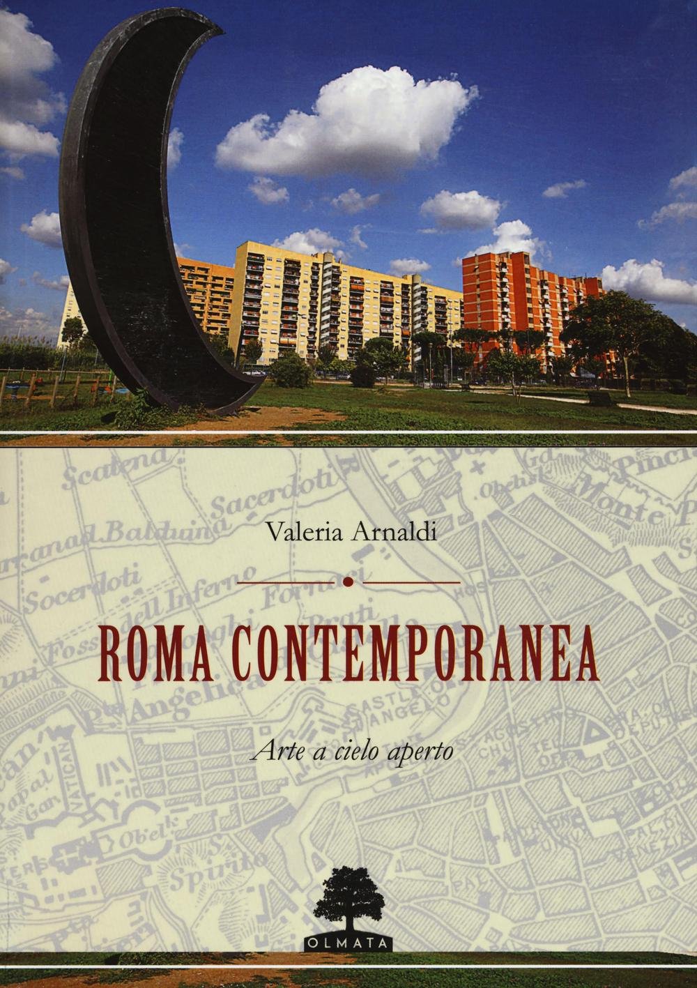 Roma contemporanea. Arte a cielo aperto. Ediz. illustrata book