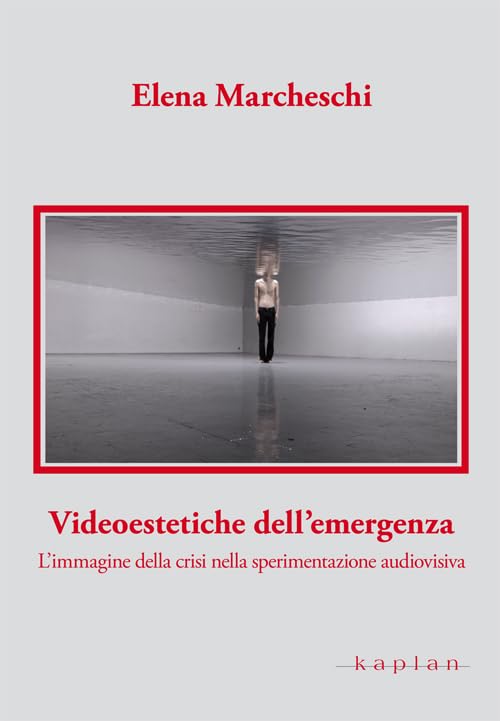 Videoestetiche dell'emergenza. L'immagine della crisi nella sperimentazione audiovisiva book