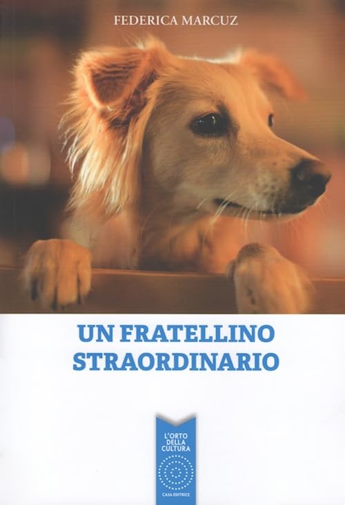 Un fratellino straordinario book