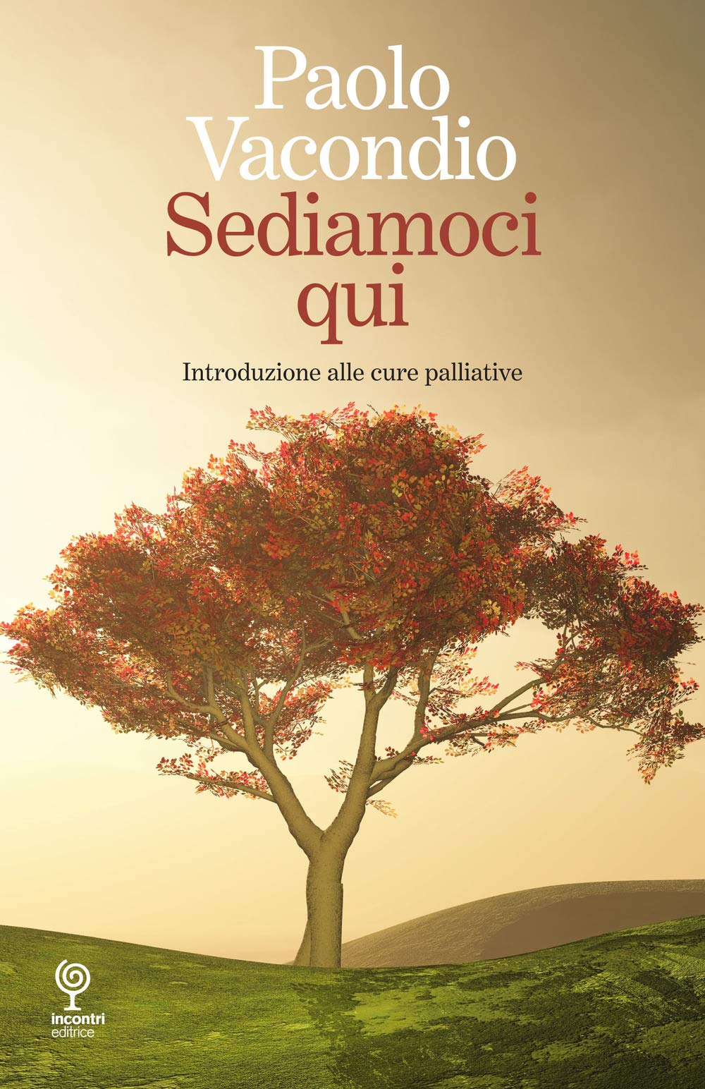Sediamoci qui. Introduzione alle cure palliative book