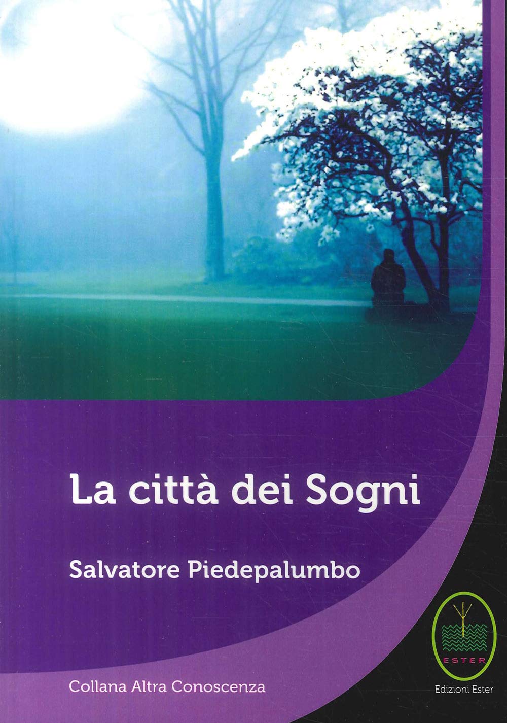La città dei sogni book