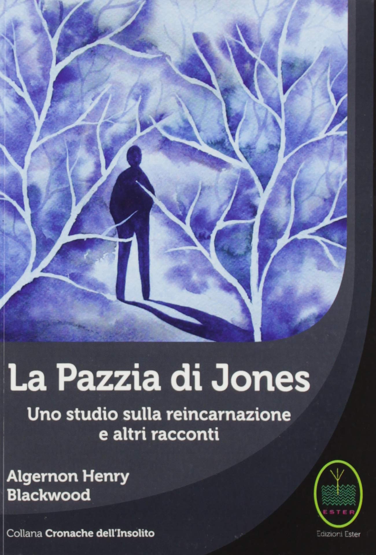La pazzia di Jones. Uno studio sulla reincarnazione e altri tacconti book