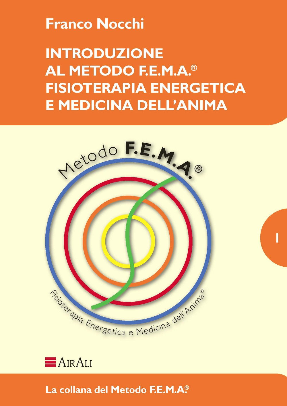 Introduzione al metodo f.e.m.a.® fisioterapia energetica e medicina dell'anima book