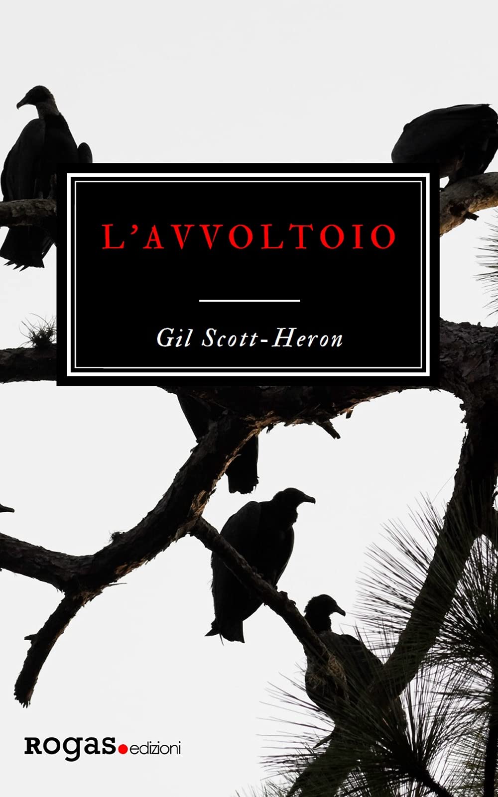 L' avvoltoio Contemporary literature Books