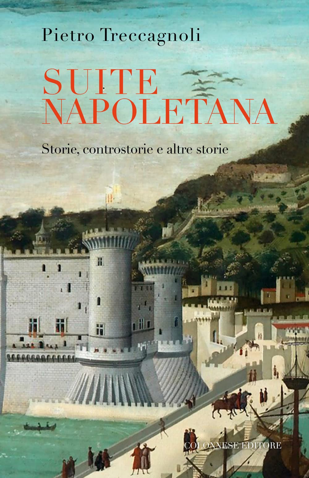 Suite napoletana. Storie, controstorie e altre storie (Passaggi) Social Sciences