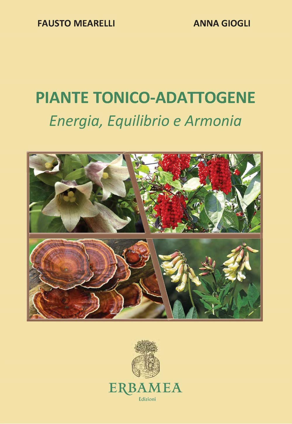 Piante tonico-adattogene. Energia, equilibrio e armonia book