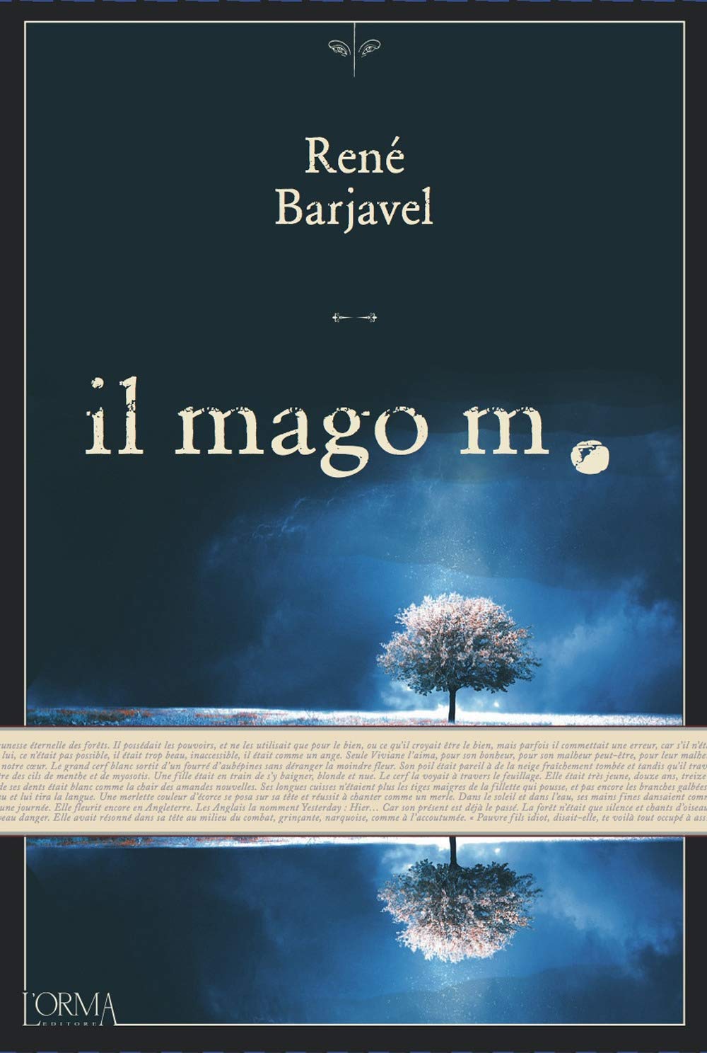Il mago M. (Kreuzville Aleph) Contemporary literature