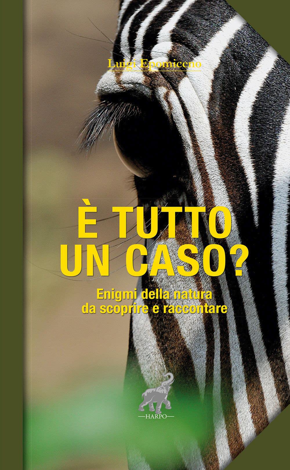 È tutto un caso? Enigmi della natura da scoprire e raccontare Leisure, Home & Garden