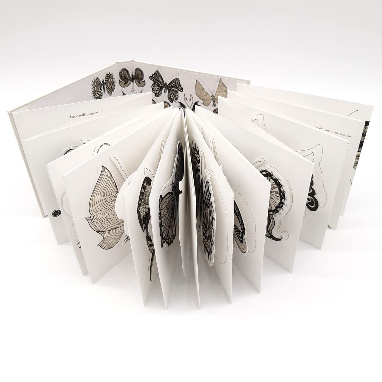 Angeliche farfalle. Volteggianti sui fiori delle verdi stagioni book