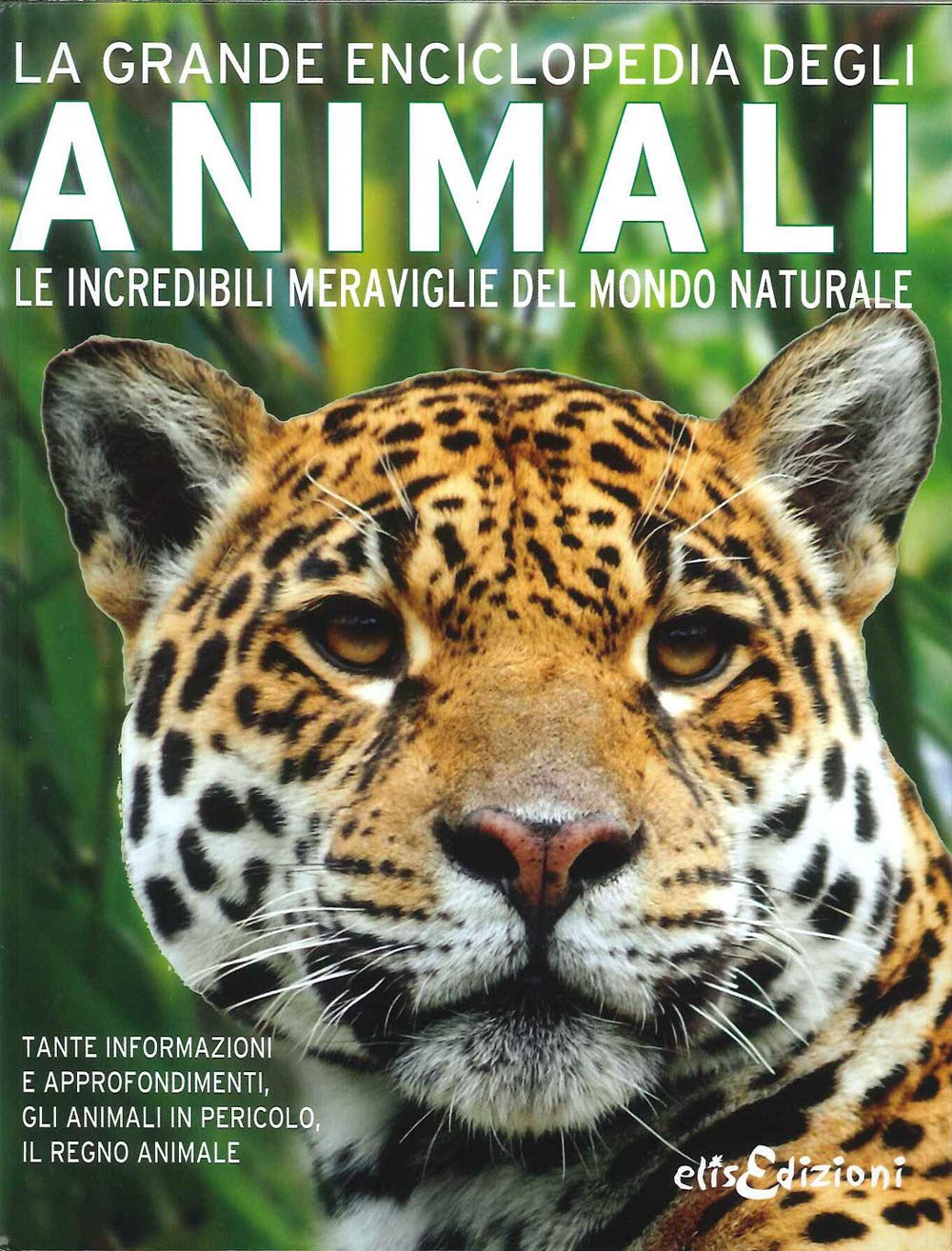 La grande enciclopedia degli animali. Le incredibili meraviglie del mondo naturale. Ediz. illustrata book