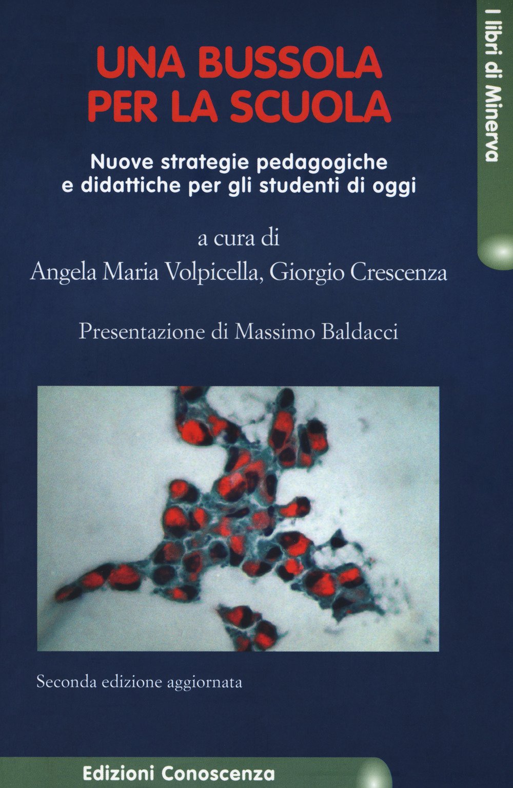 Una bussola per la scuola. Nuove strategie pedagogiche e didattiche per gli studenti di oggi (I libri di Minerva) Politics & History