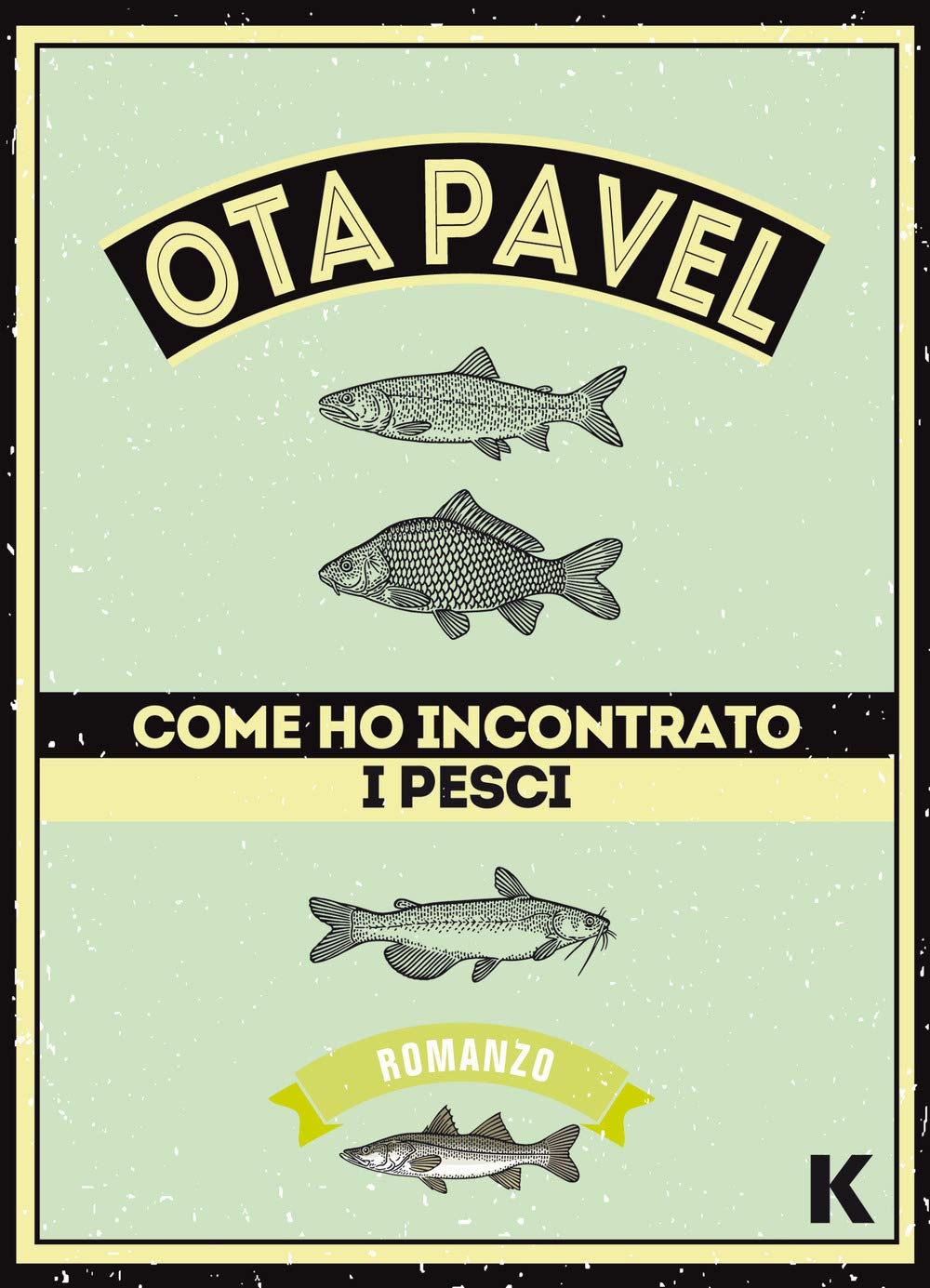 Come ho incontrato i pesci book