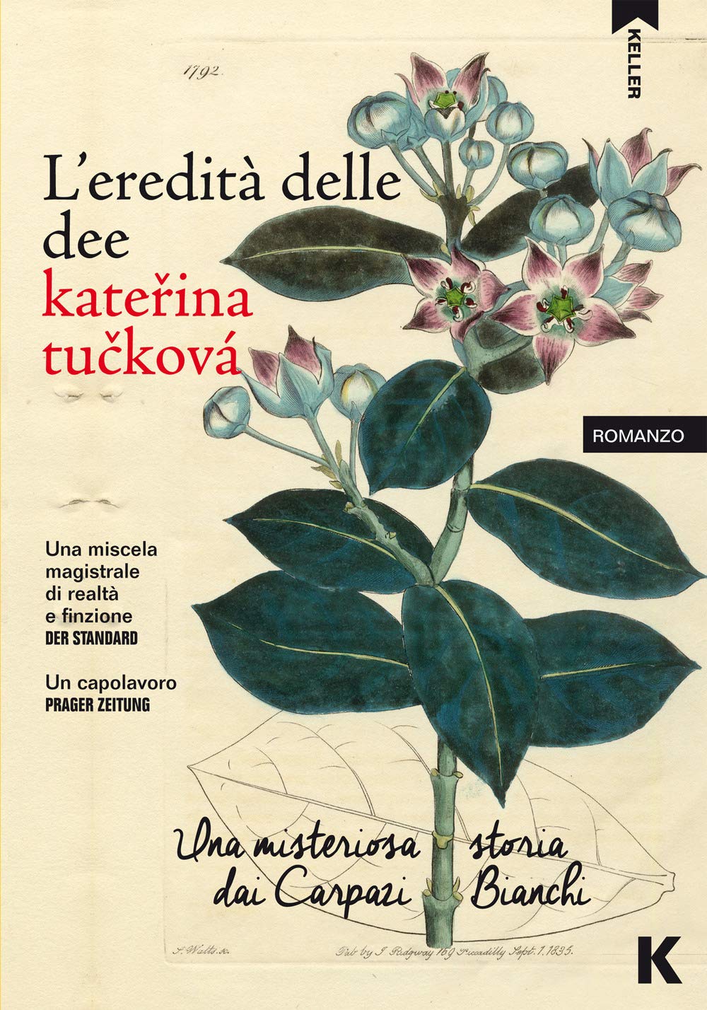 L'eredità delle dee. Una misteriosa storia dai Carpazi Bianchi International