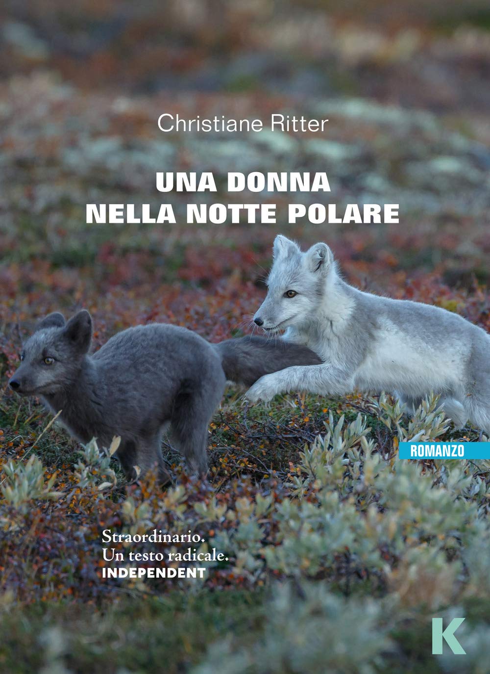 Una donna nella notte polare Leisure, Home & Garden