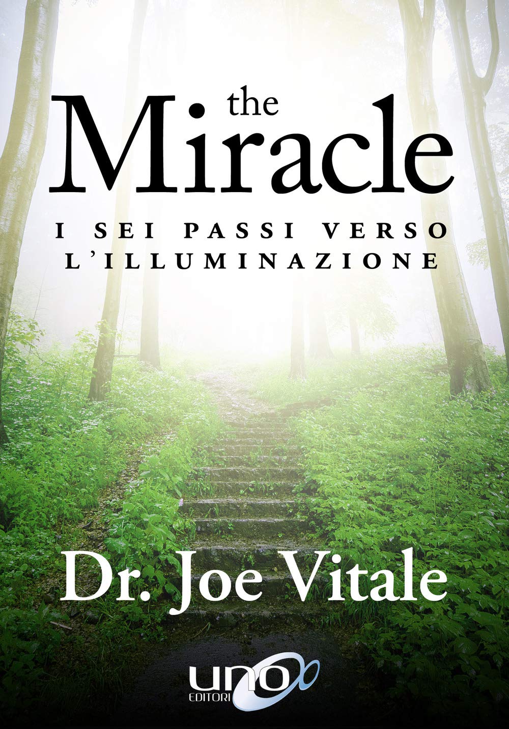 The miracle. I sei passi verso l'illuminazione book