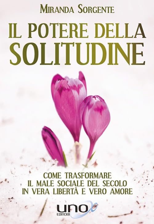 Il potere della solitudine book