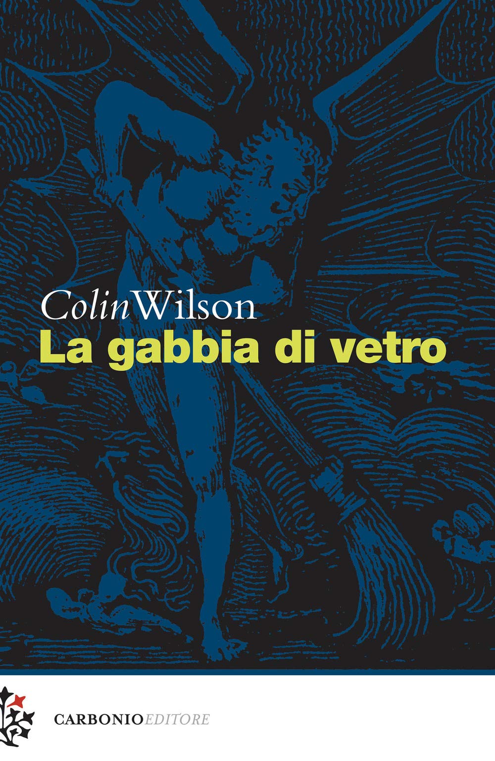 La gabbia di vetro book