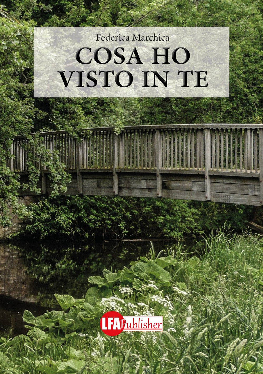 Cosa ho visto in te book