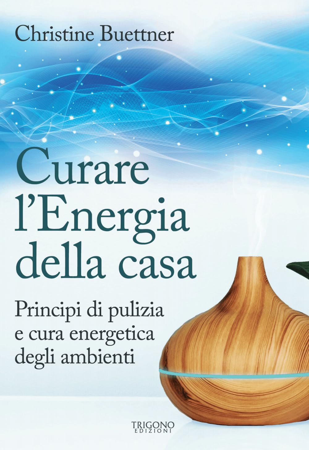 Curare l'energia della casa. Principi di pulizia e cura energetica degli ambienti Business, Finance & Career