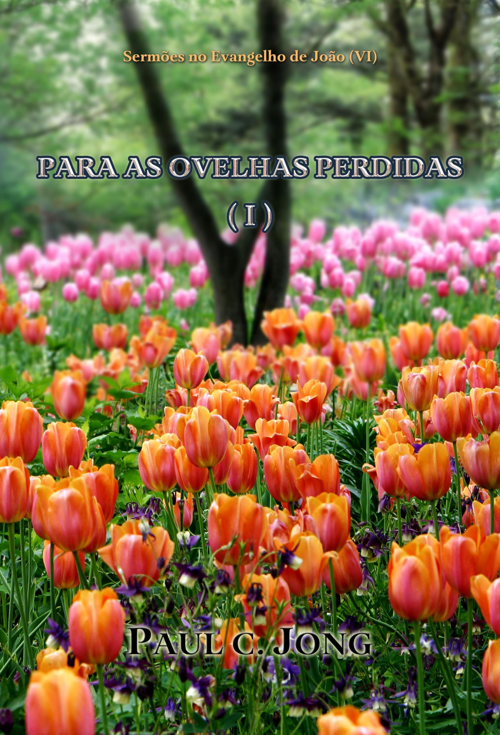 Sermões no Evangelho de João (Ⅵ) - PARA AS OVELHAS PERDIDAS (I) (Portuguese Edition) Books