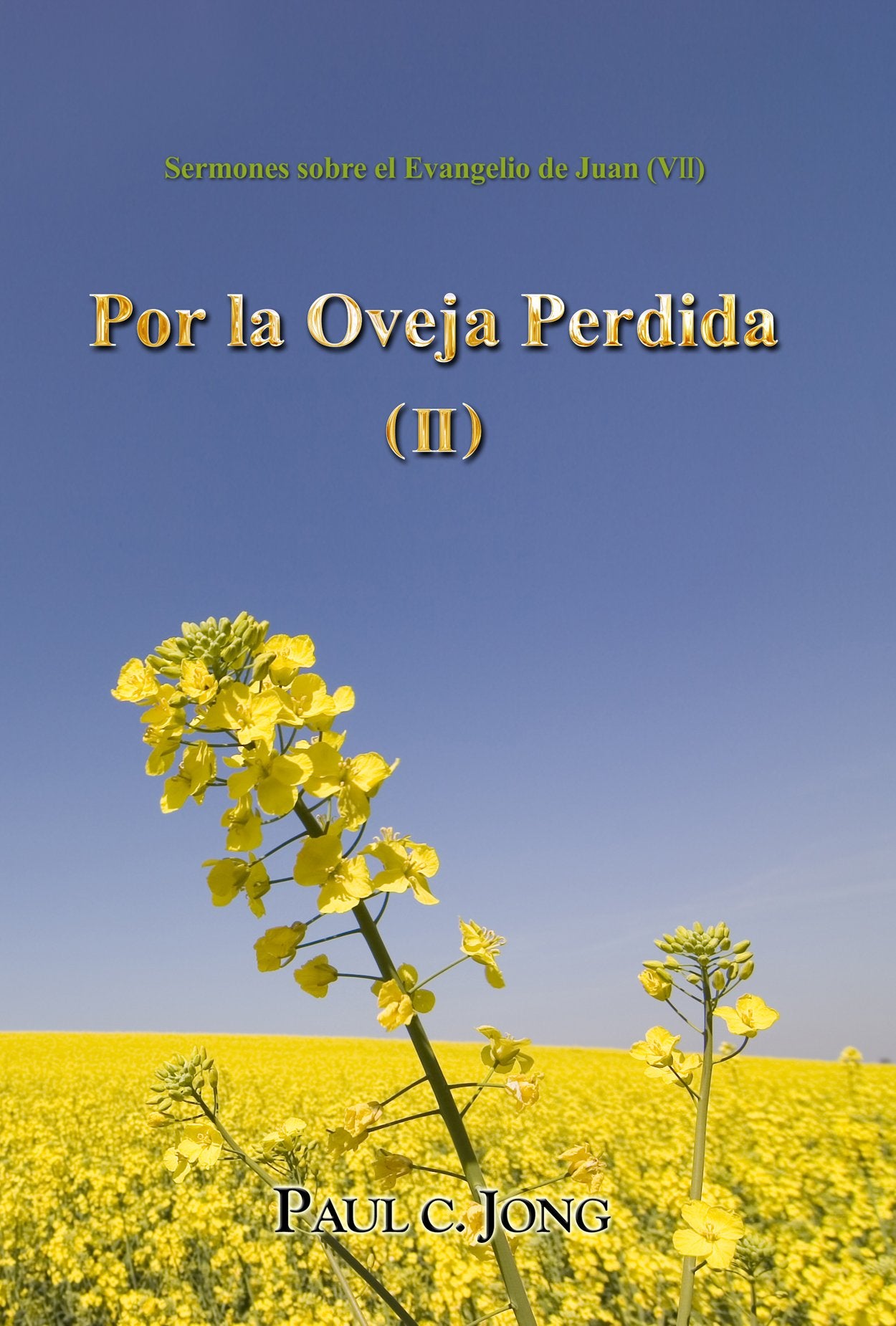 Por la Oveja Perdida ( II ) - Sermones sobre el Evangelio de Juan (VII) (Spanish Edition) Books