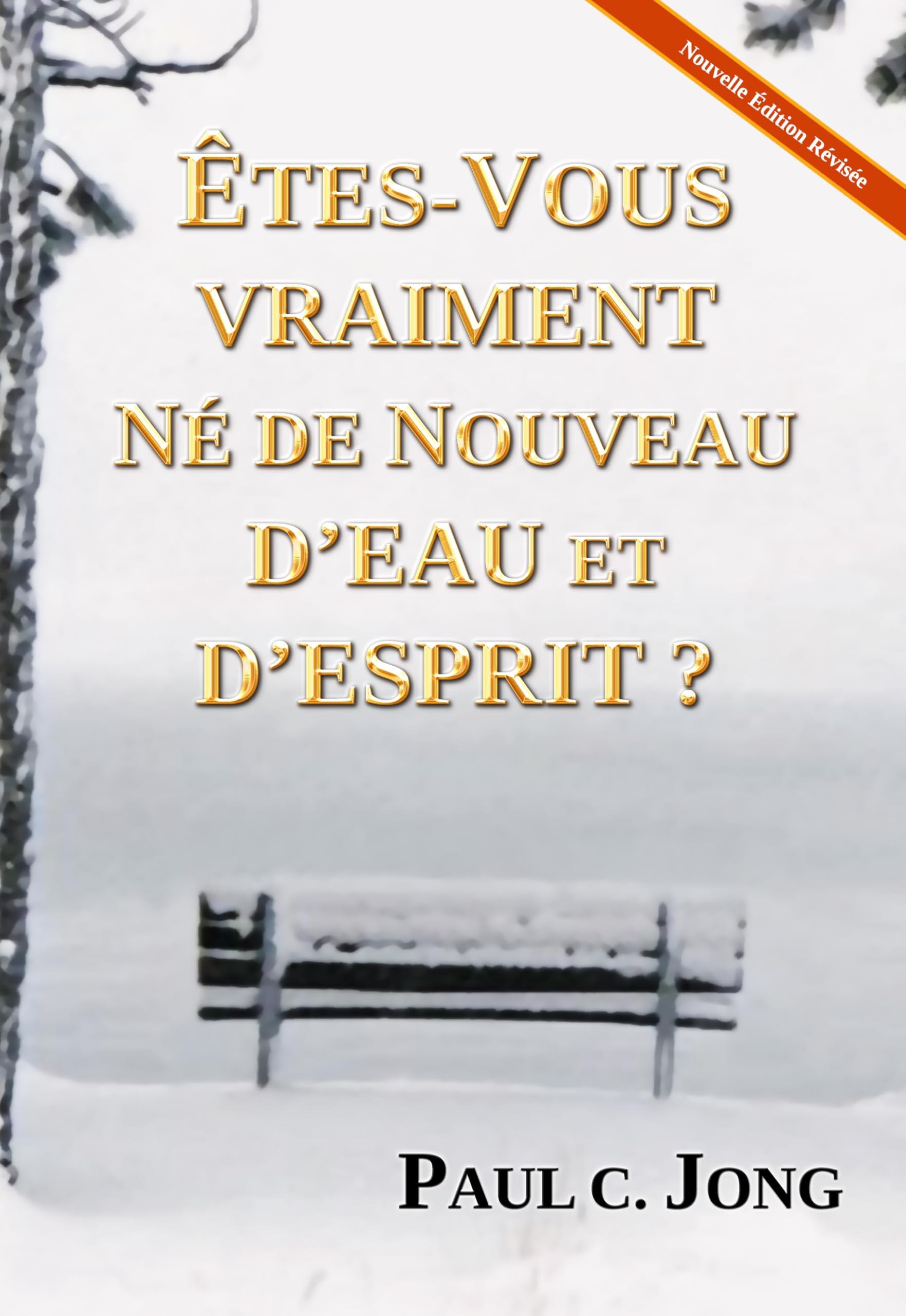 ÊTES-VOUS VRAIMENT NÉ DE NOUVEAU D’EAU ET D’ESPRIT ? (French Edition) Books