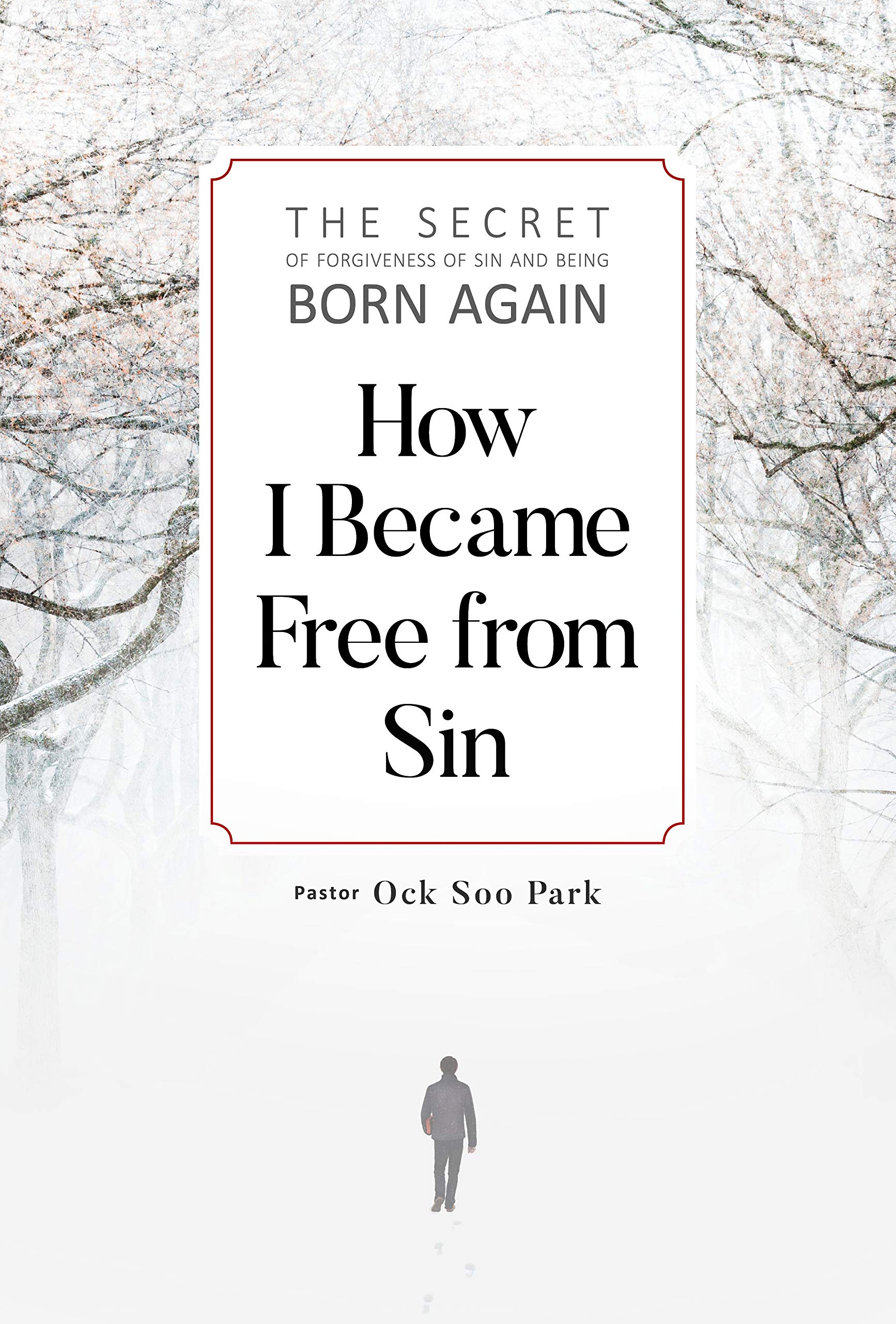 How I Became Free From Sin: The Secret of Forgiveness of Sin and Being Born Again Books