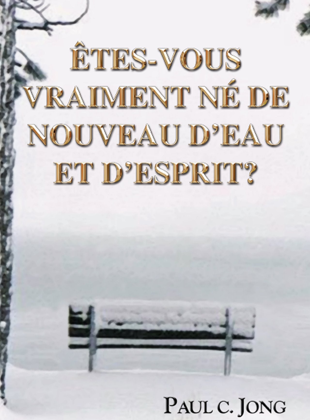 Êtes-vous vraiment né de nouveau d'eau et d'Esprit? (French Edition) Books