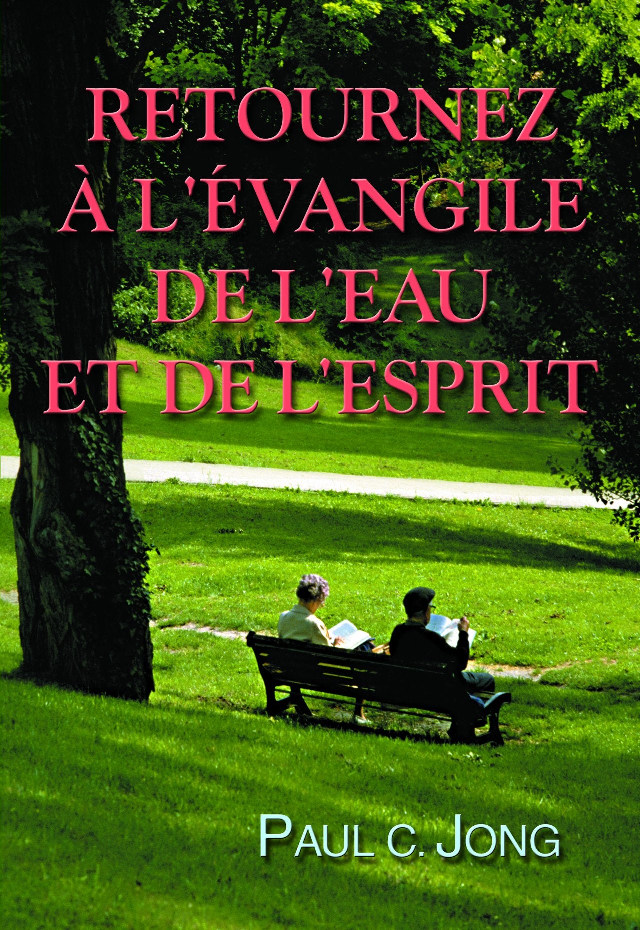 RETOURNEZ A L'EVANGILE DE L'EAU ET DE L'ESPRIT book