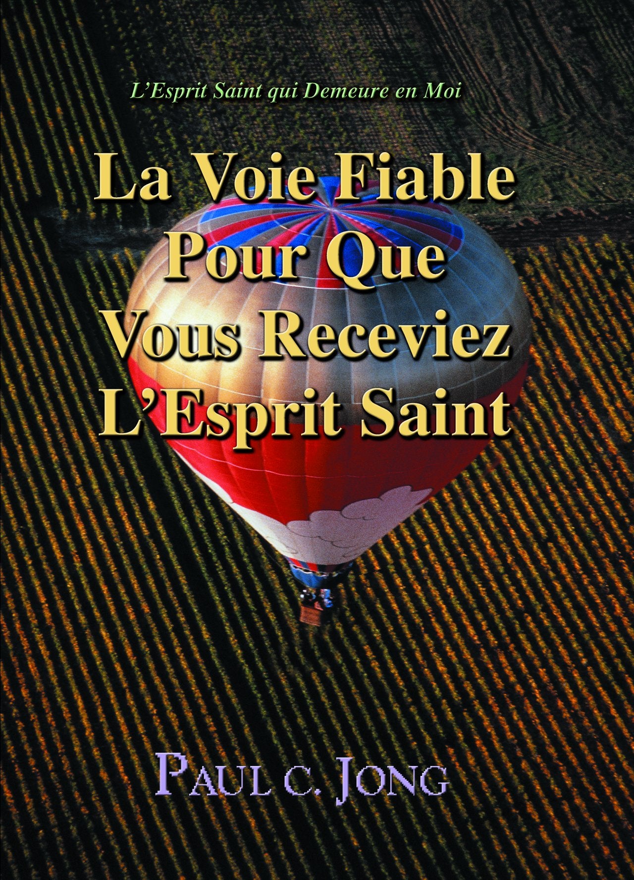 L'Esprit Saint qui Demeure en Moi. La Voie Fiable Pour Que Vous Receviez L'Esprit Saint. book