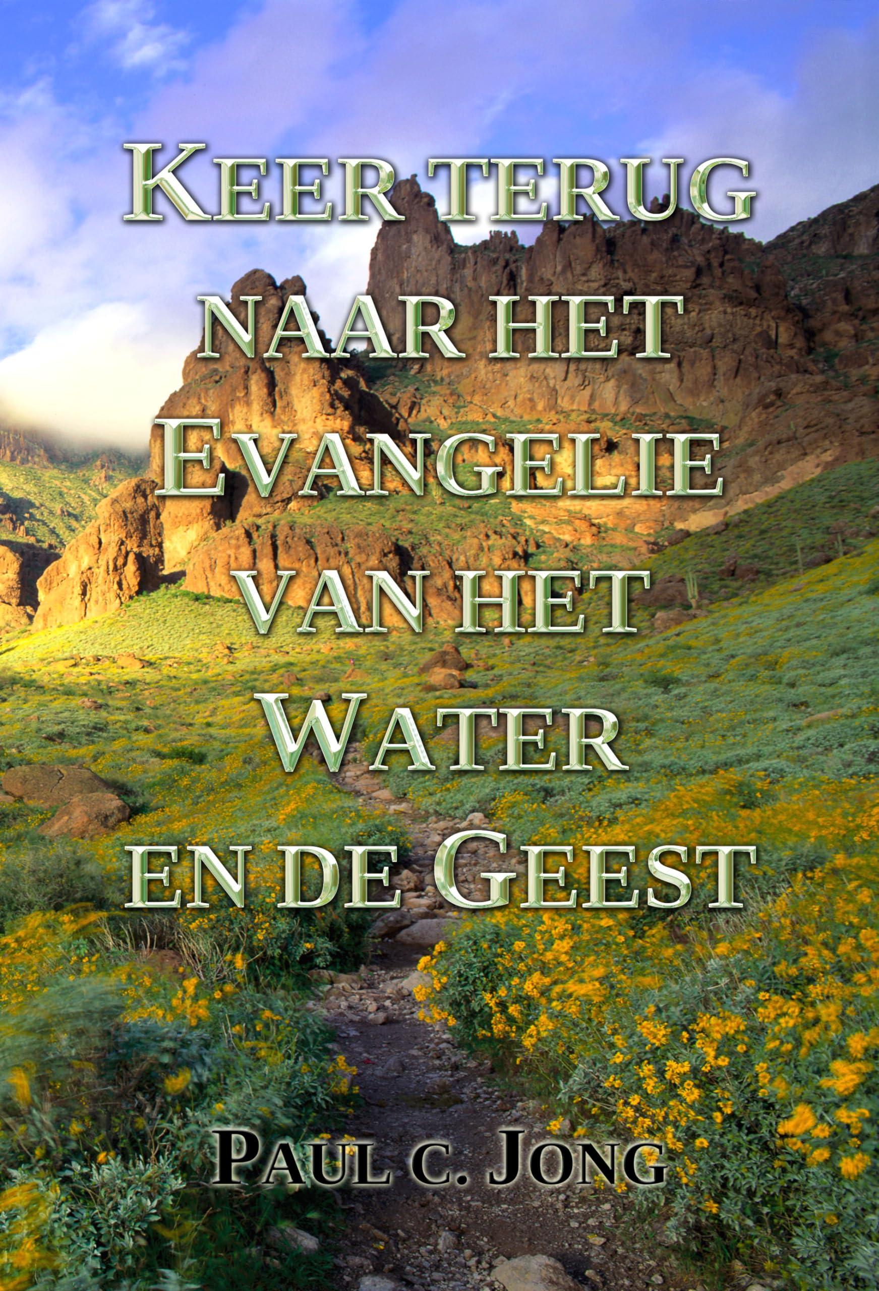 KEER TERUG NAAR HET EVANGELIE VAN HET WATER EN DE GEEST (Édition Néerlandaise) book