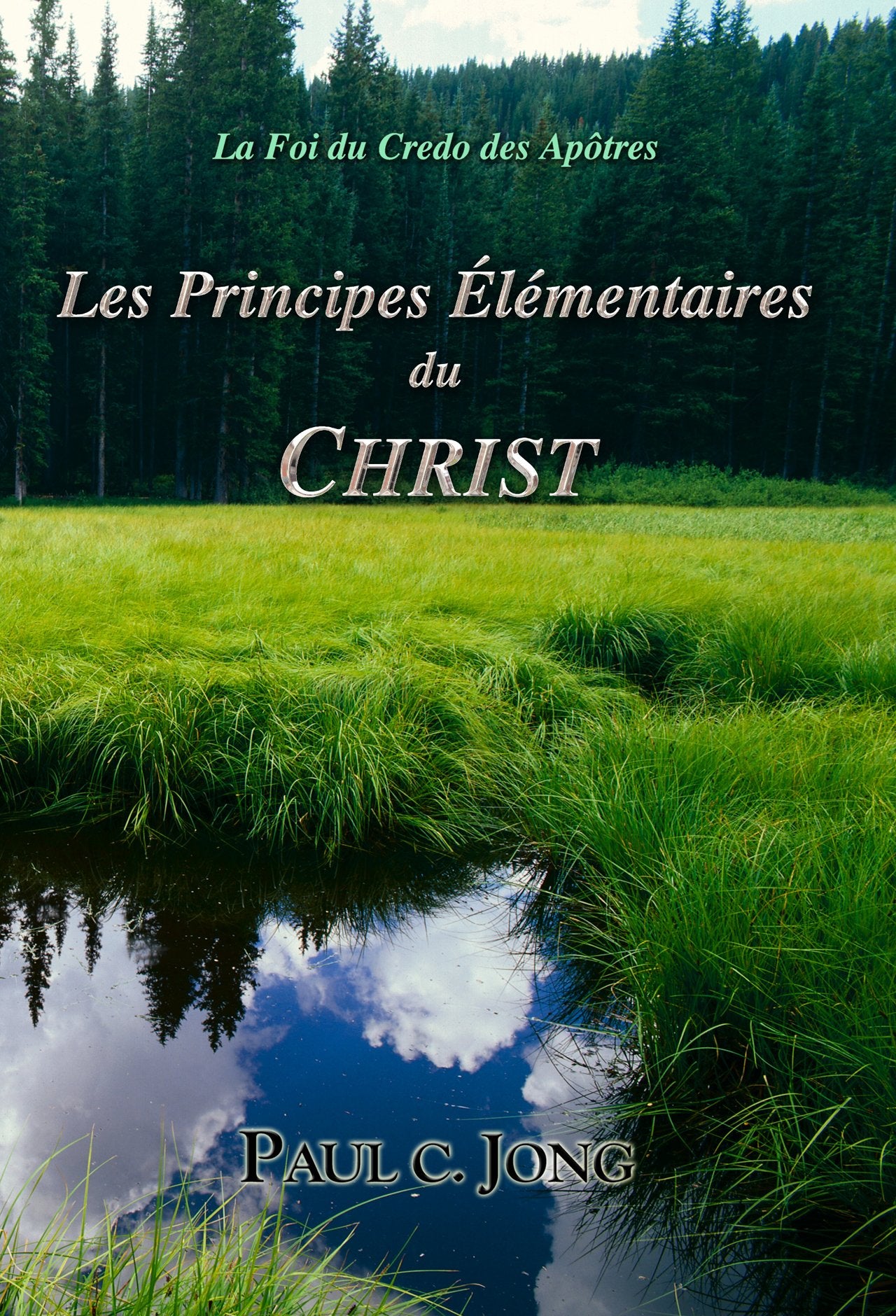 La Foi du Credo des Apôtres. Les Principes Elémentaires du Christ. book
