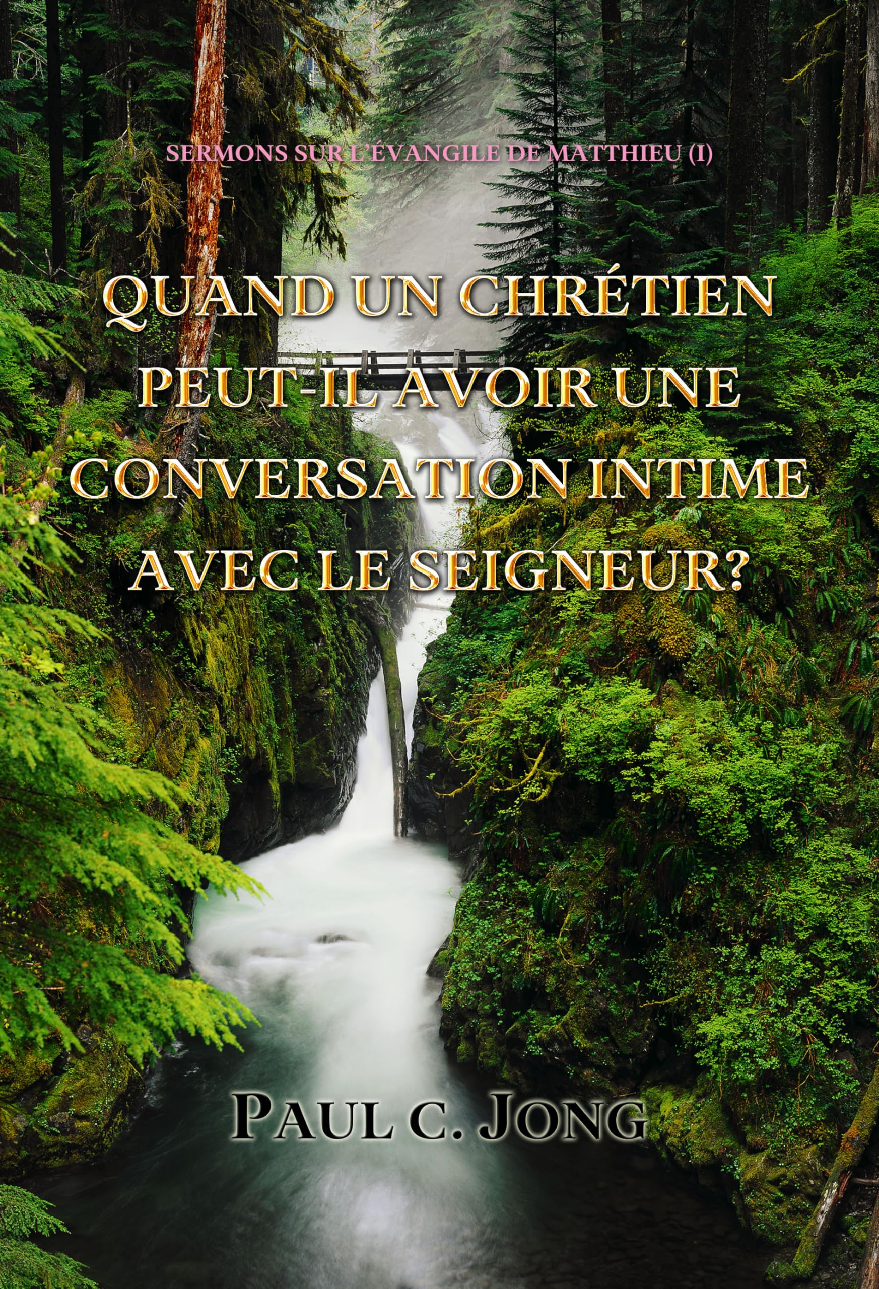 Séries de Paul C. Jong sur la croissance spirituelle 1. L'Evangile de Matthieu (I) book