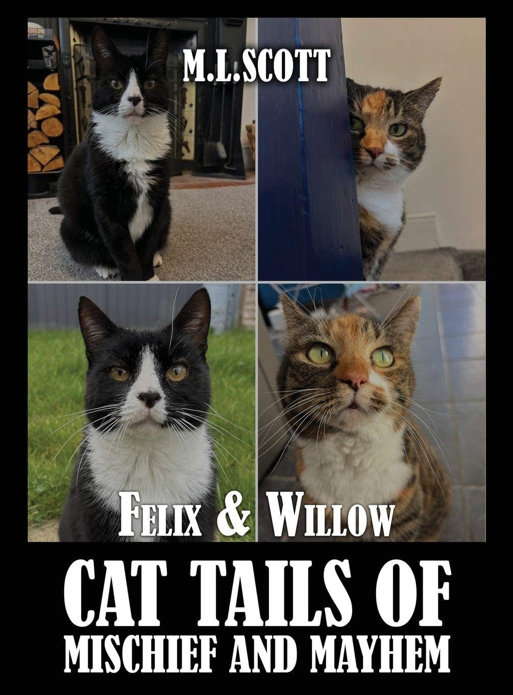 Felix & Willow cat tails of mischief and mayhem Leisure, Home & Garden