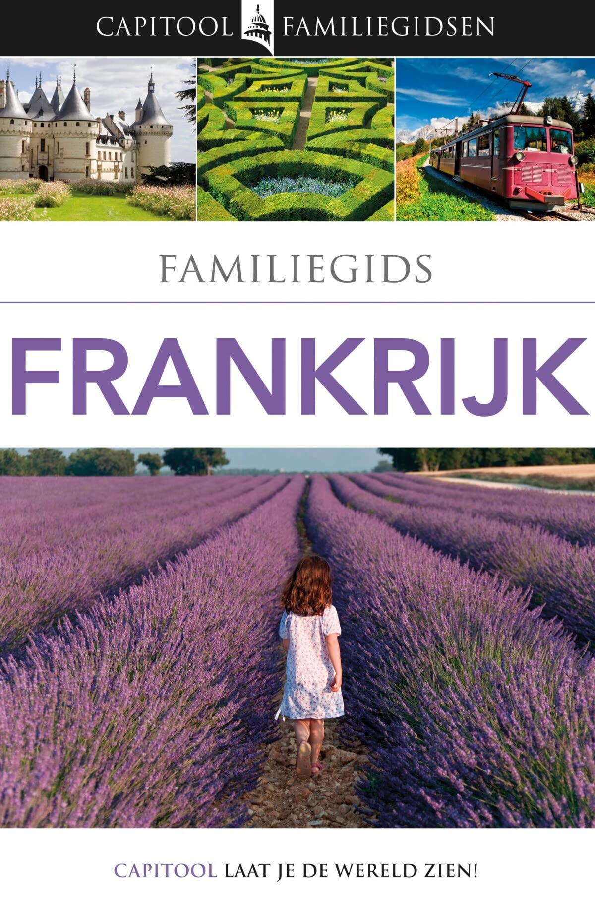 Familiegids Frankrijk: Dana Facaros, Leonie Glass, Antony Mason ... book
