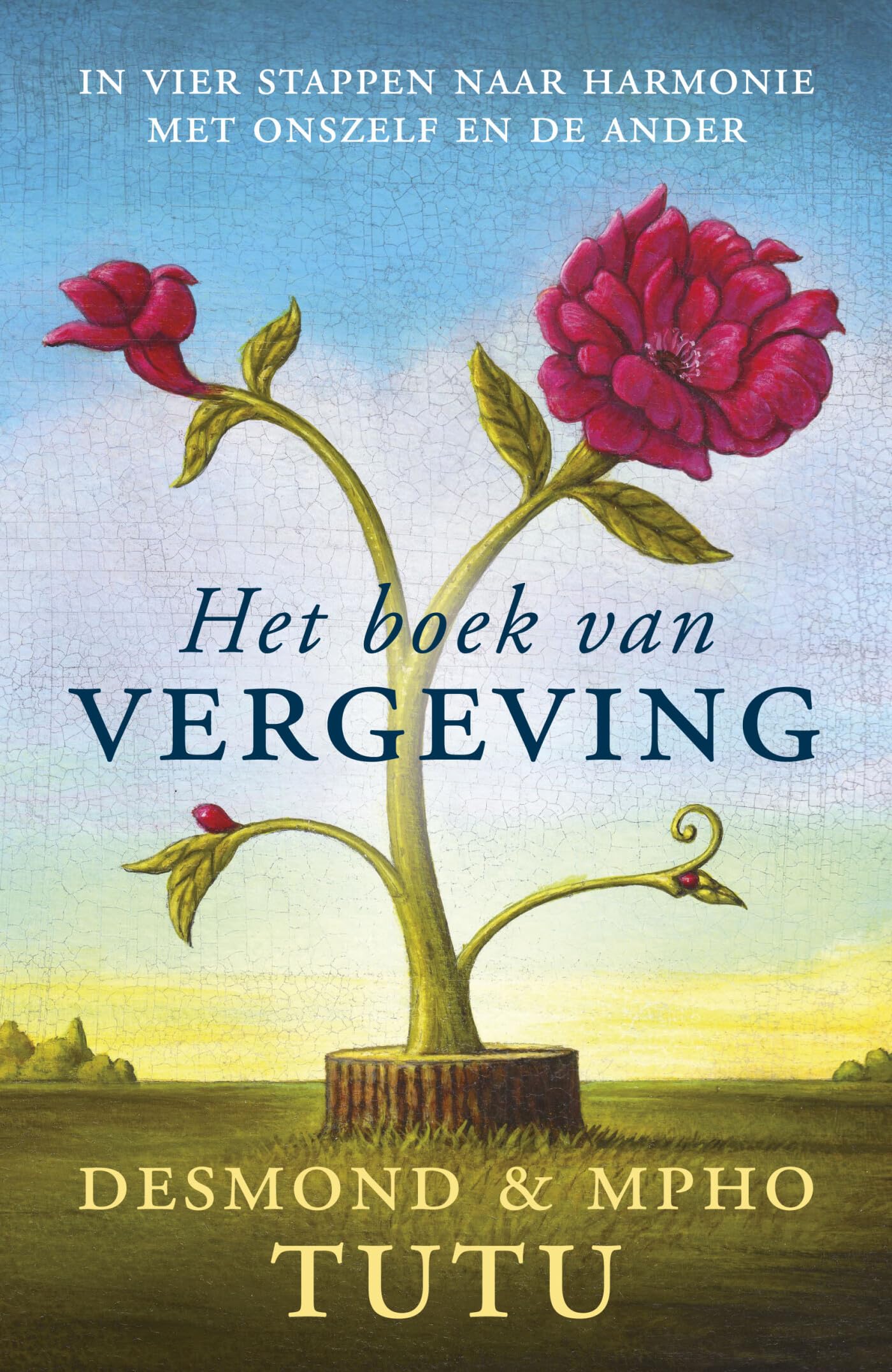 Het boek van vergeving: het viervoudig pad naar heling van onszelf en onze wereld Film, Art & Culture