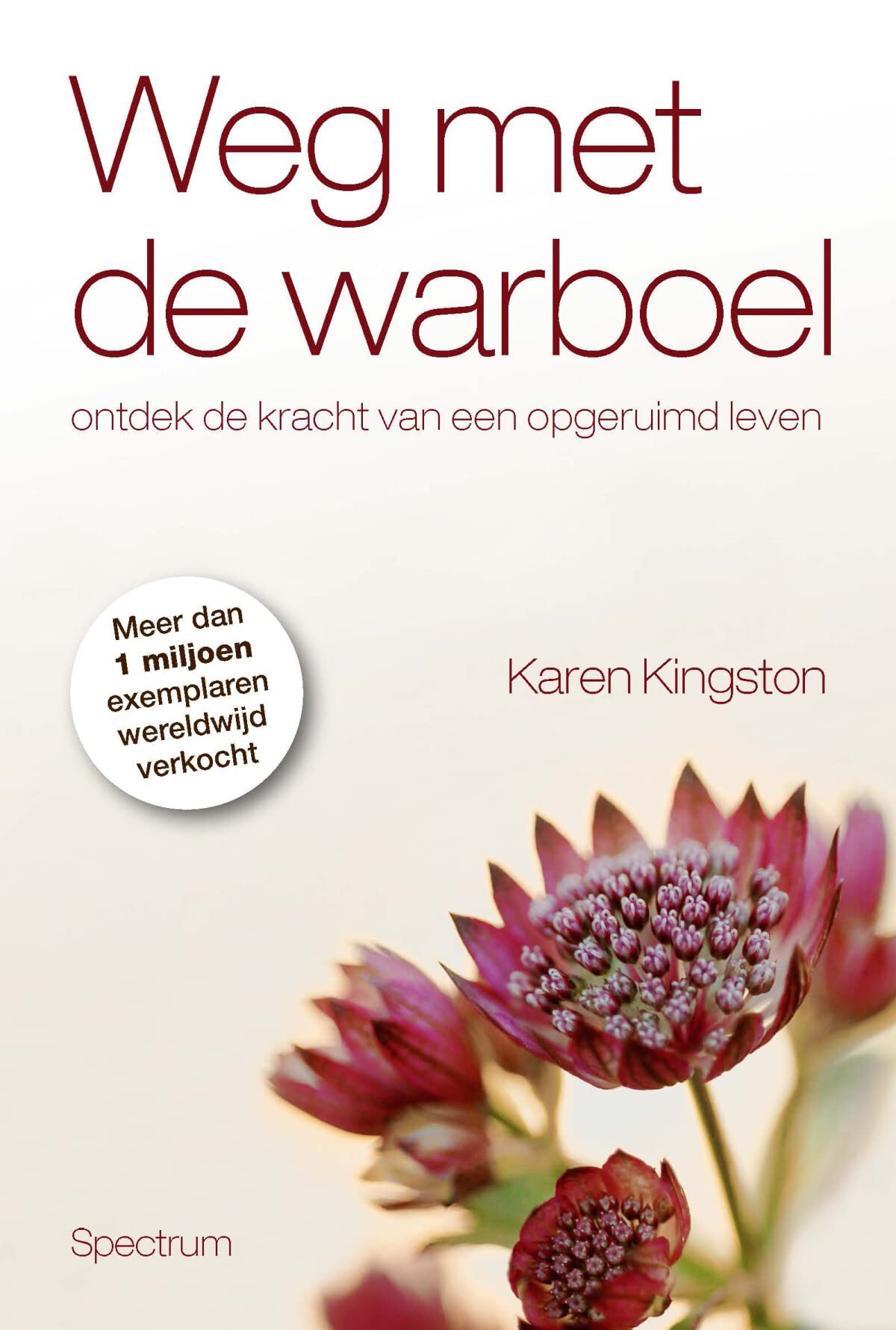 Weg met de warboel: ontdek de kracht van een opgeruimd leven book