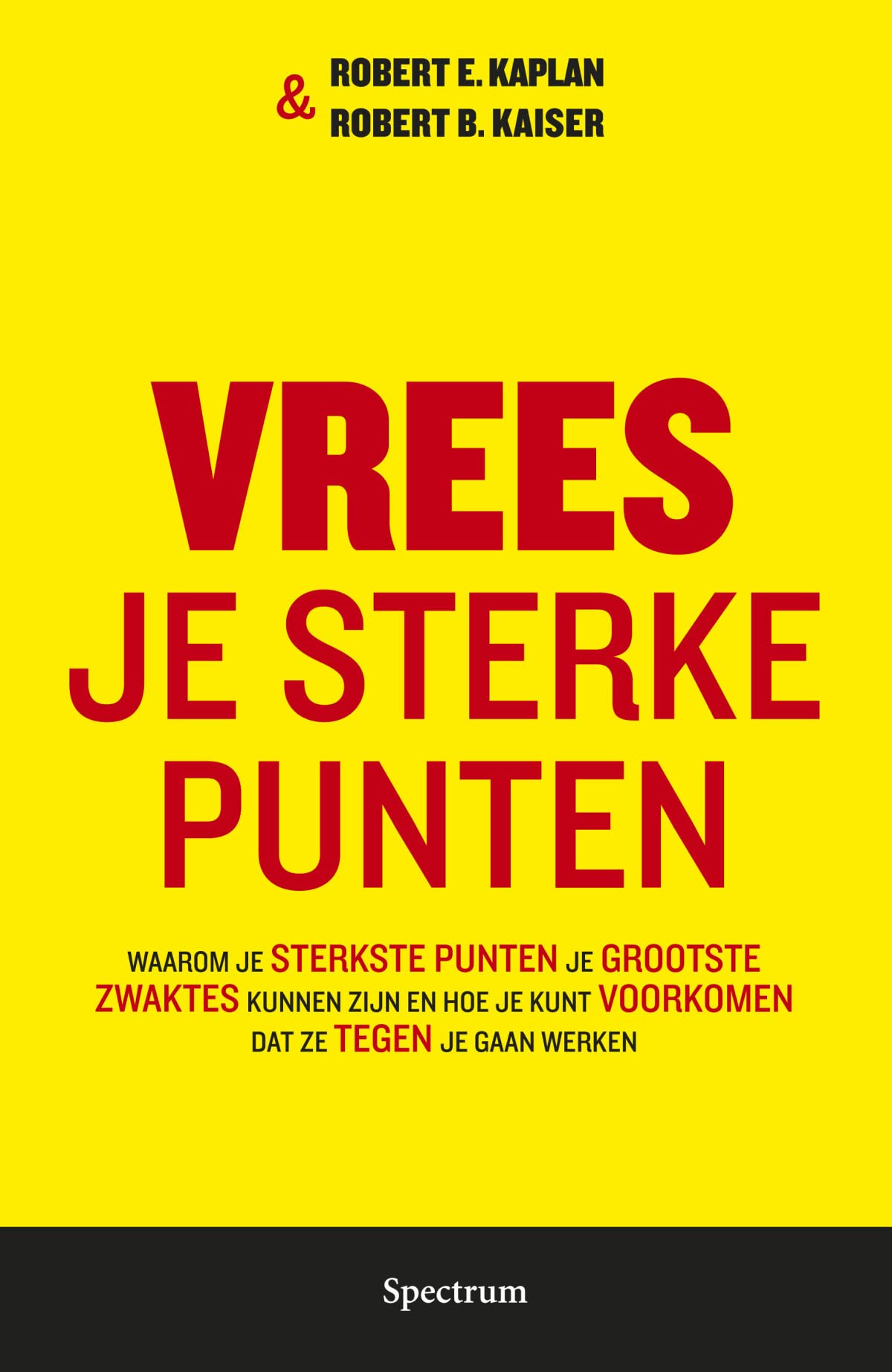 Vrees je sterke punten: waarom je sterkste punten je grootste zwaktes kunnen zijn en hoe je kunt voorkomen dat ze tegen je gaan werken book