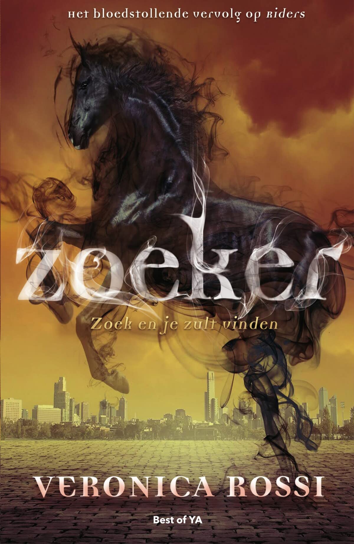 Zoeker: zoek en je zult vinden book