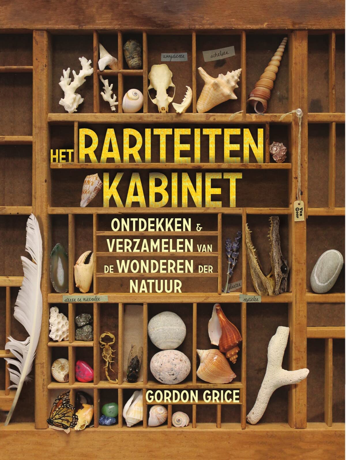 Het rariteitenkabinet: Ontdekken en verzamelen van de wonderen book