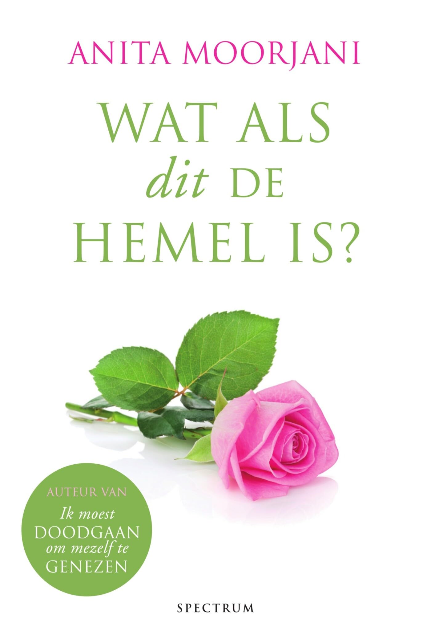 Wat als dit de hemel is?: hoe onze culturele mythen voorkomen dat we hemel op aarde ervaren Business, Finance & Career