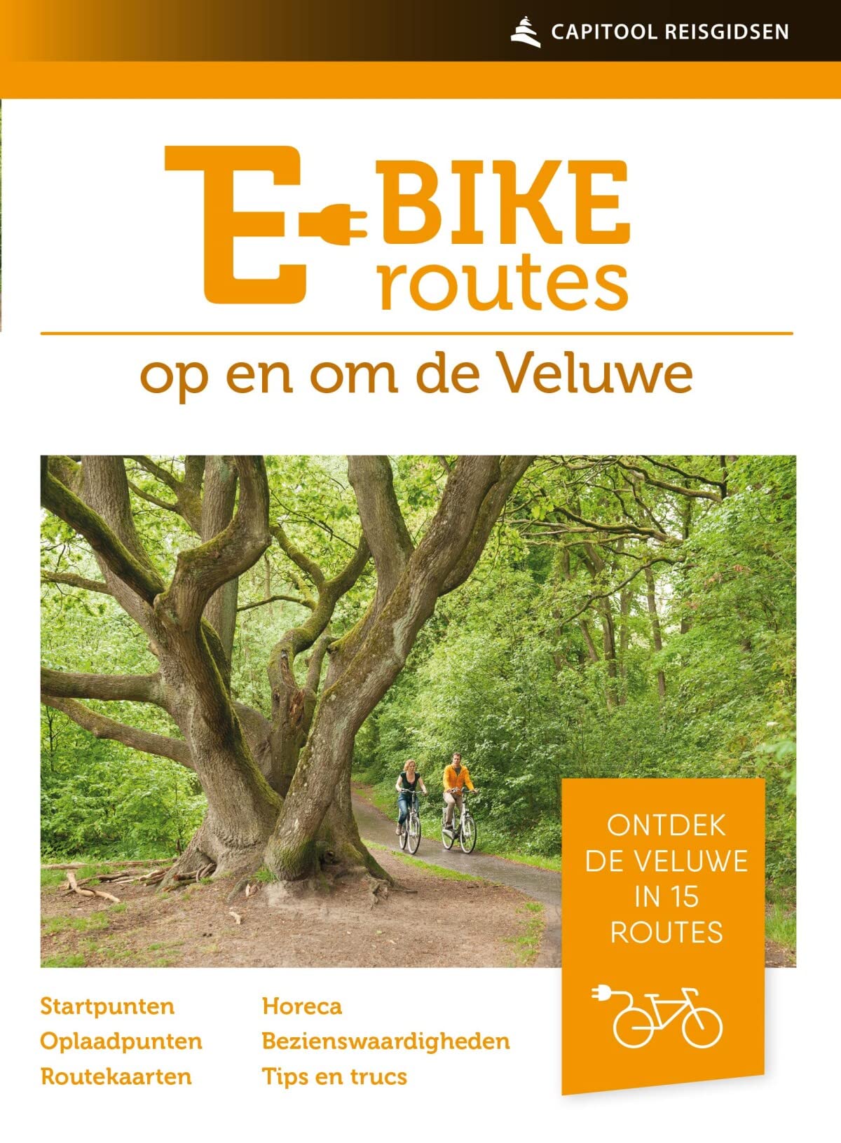 e-bikeroutes in en om de Veluwe: Ontdek de Veluwe in 15 routes book