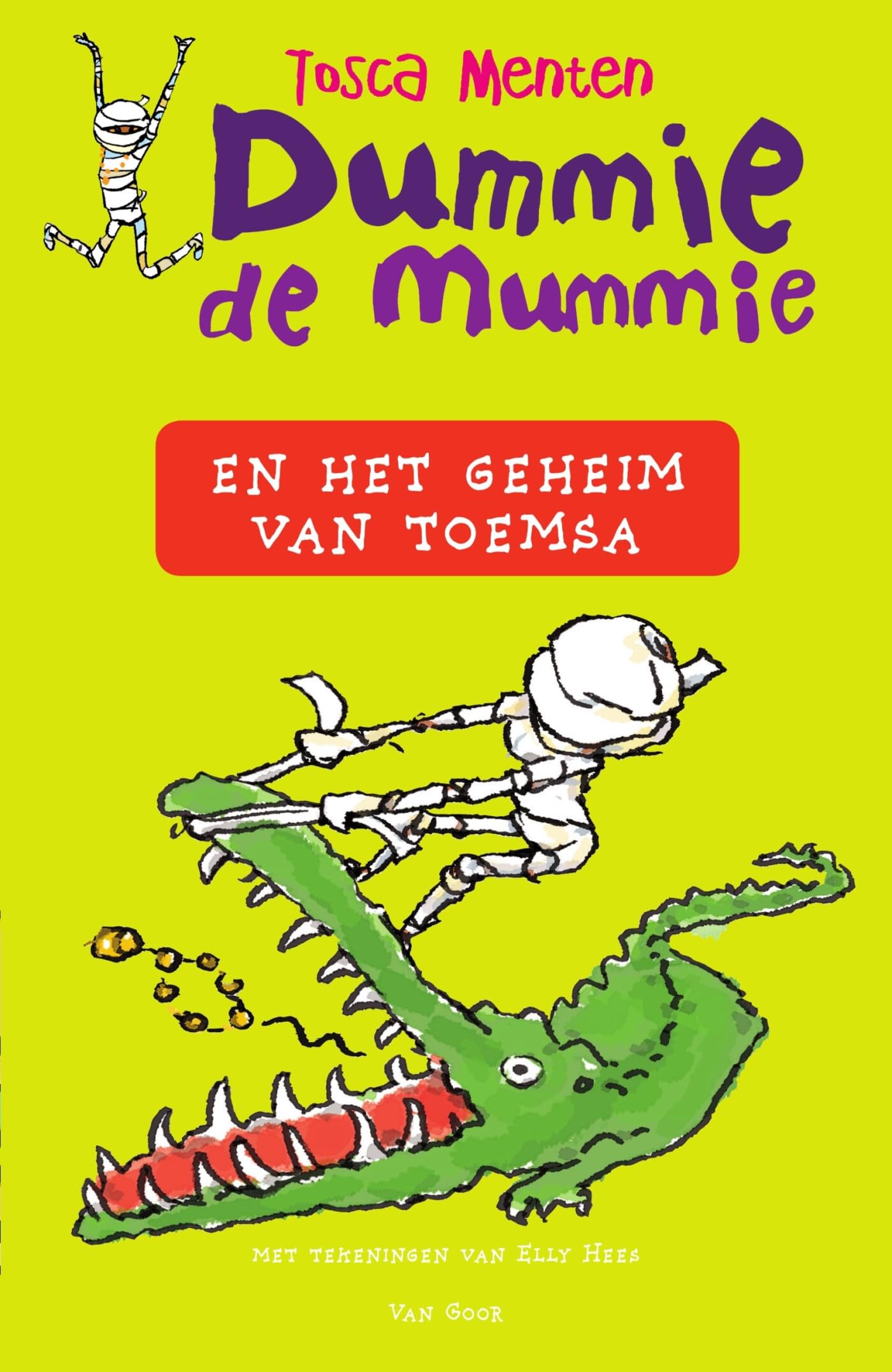Dummie de mummie en het geheim van Toemsa book