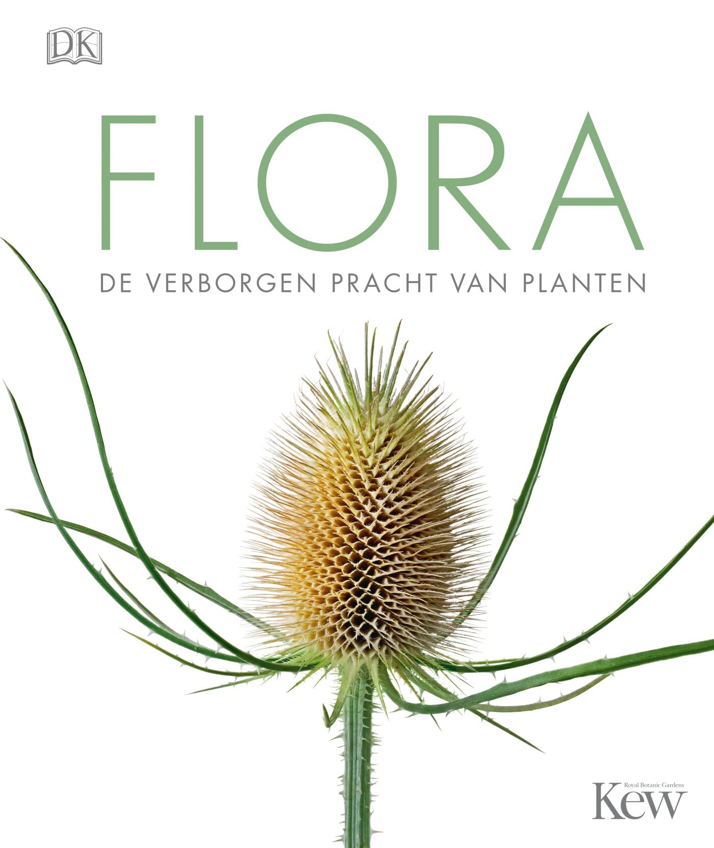 Flora: de verborgen pracht van planten Mathematics
