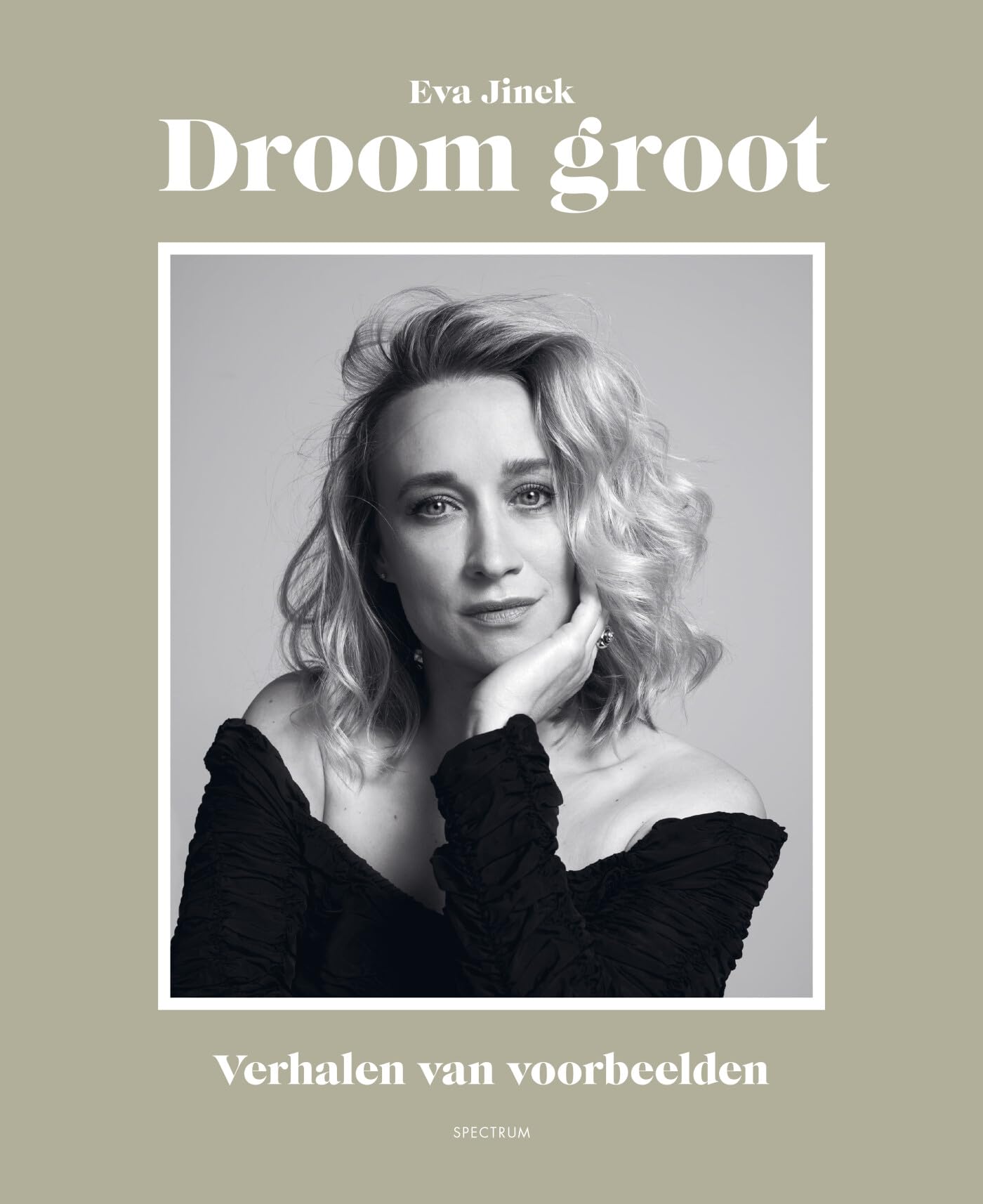 Droom groot: verhalen van voorbeelden Essays & Short Stories