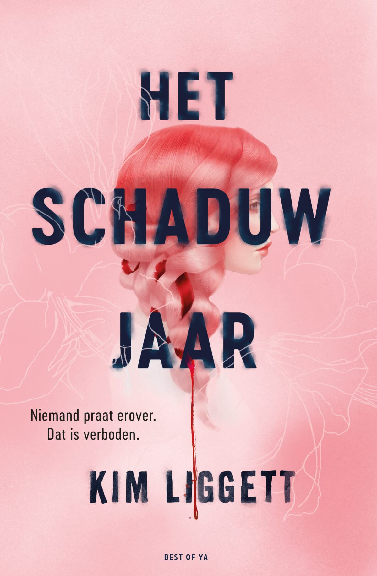 Het schaduwjaar: Niemand praat over het genadejaar. Dat is verboden. Contemporary literature