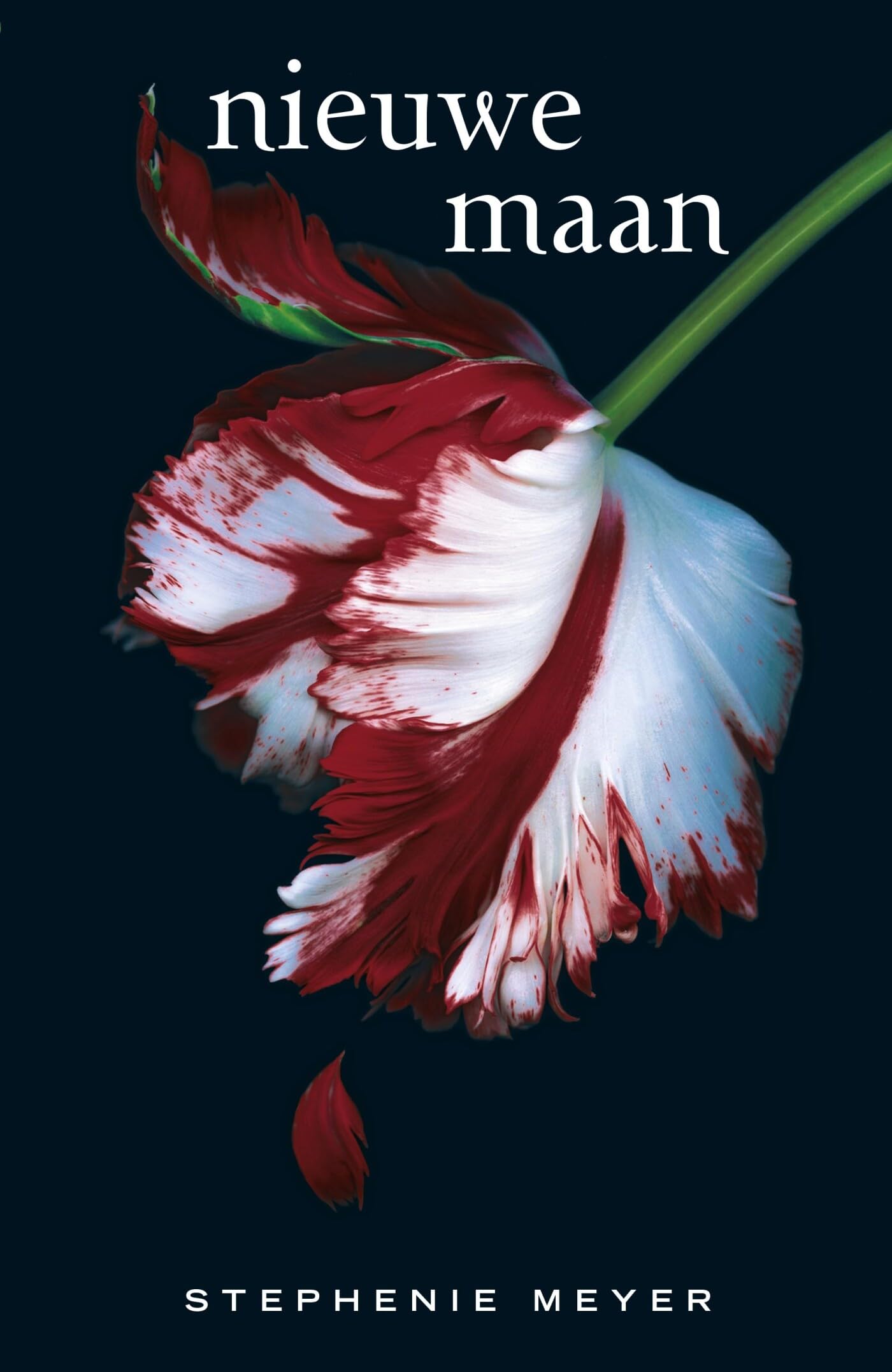 Product Image: Nieuwe maan (Twilight, 2)