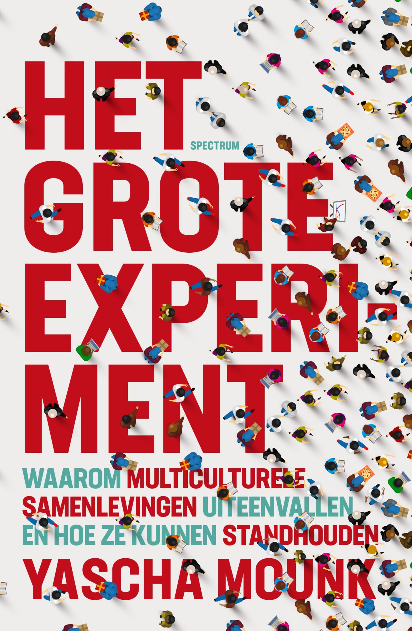 Het grote experiment: waarom multiculturele samenlevingen uiteenvallen en hoe ze kunnen standhouden Books